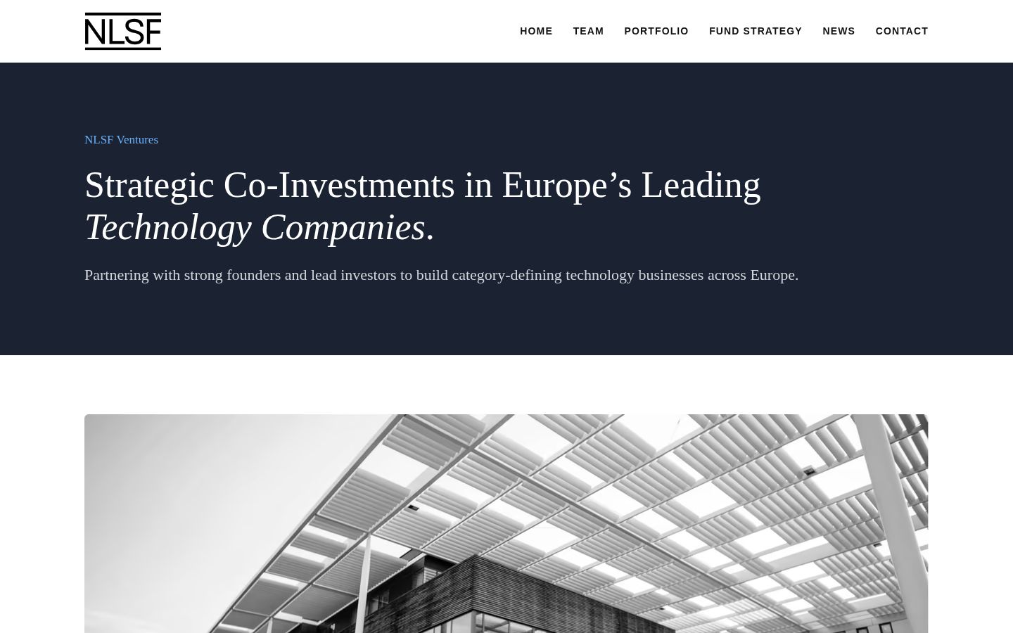 Homepage screenshot of the NLSF Ventures website built by InsightWeave